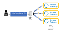 Access Gateway support access architecture.