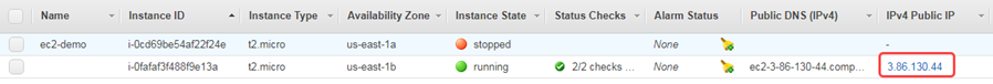 Instance Elastic IP