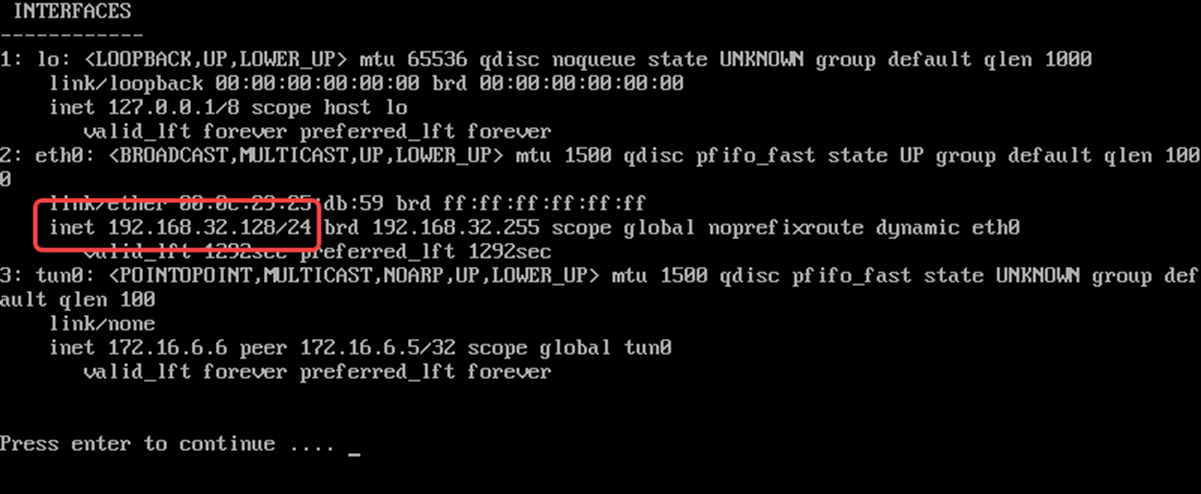 Determine IPv4 address